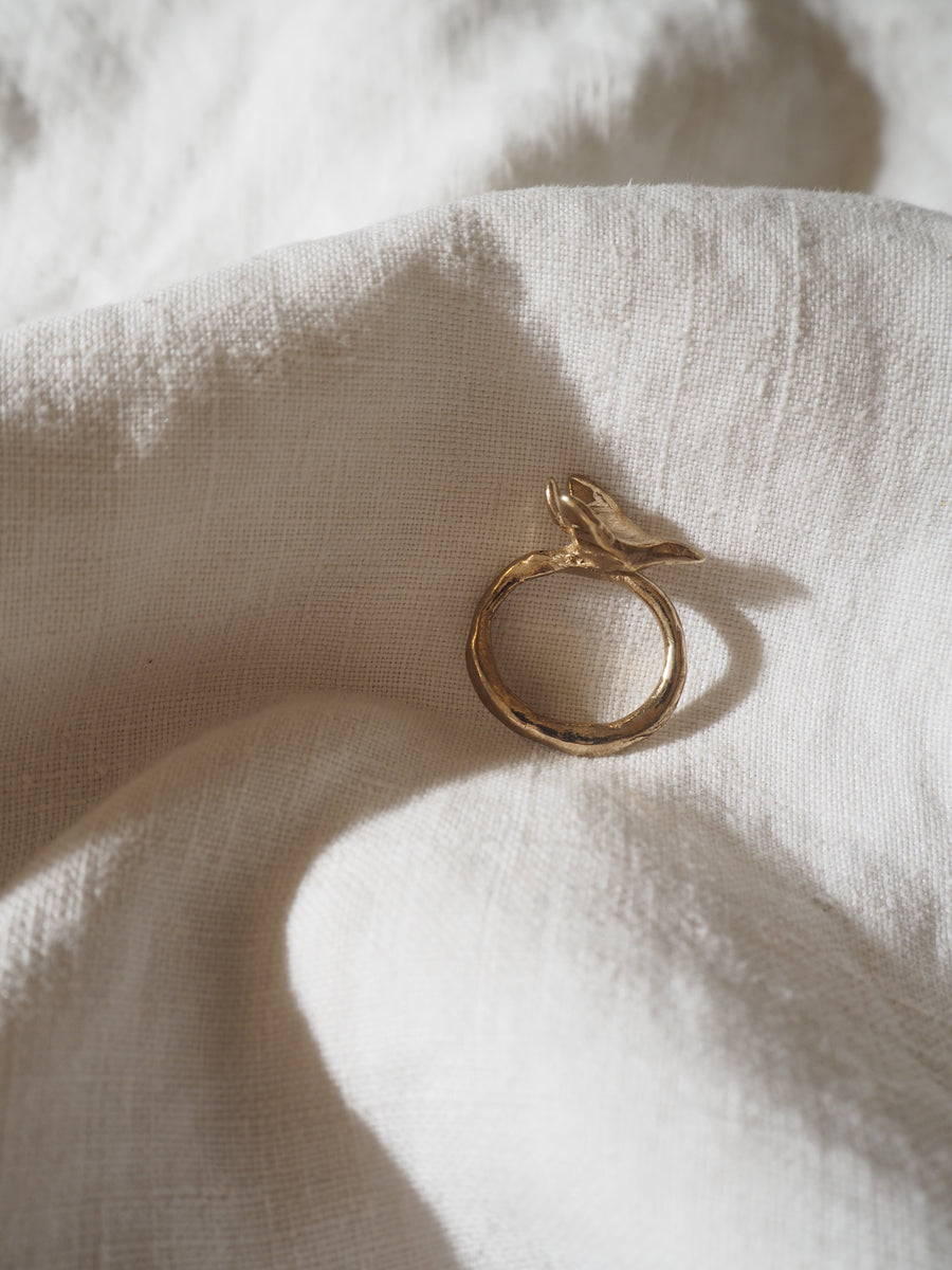 Bague Oiseau BAGUE ombre claire 