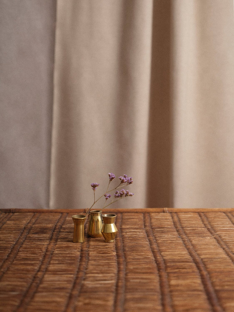 Petit jardin DECO ombre claire